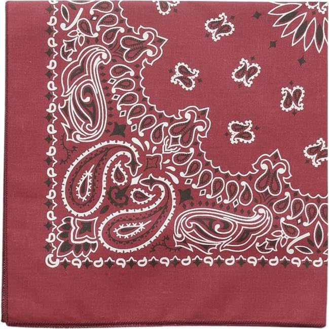 Trainmen Paisley Bandanas Scarf Do-rag Cotton Biker Head Rags Classic Bandanna 22" x 22" (12 Pack)
