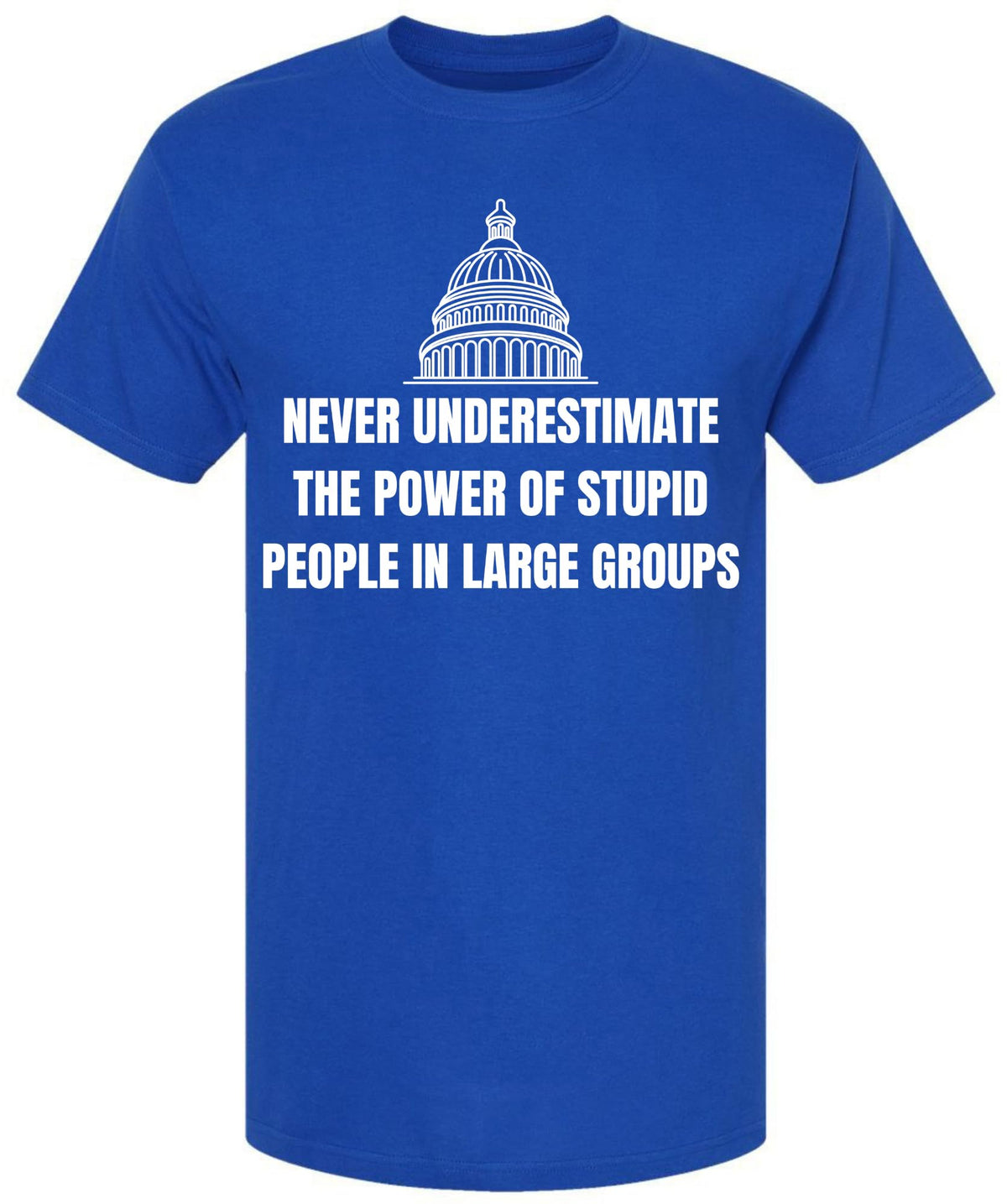 Never Underestimate The Power of Stupid People in Large Groups Printed T-Shirt | Funny Sarcastic Unisex Tee