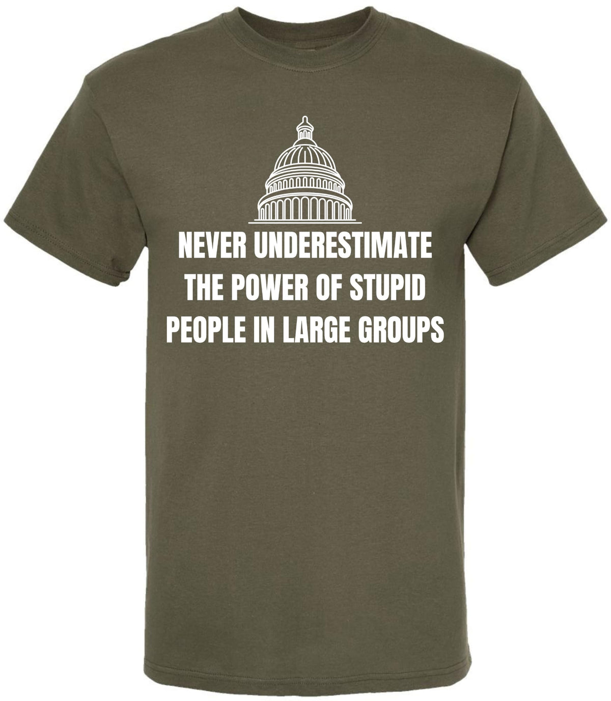 Never Underestimate The Power of Stupid People in Large Groups Printed T-Shirt | Funny Sarcastic Unisex Tee