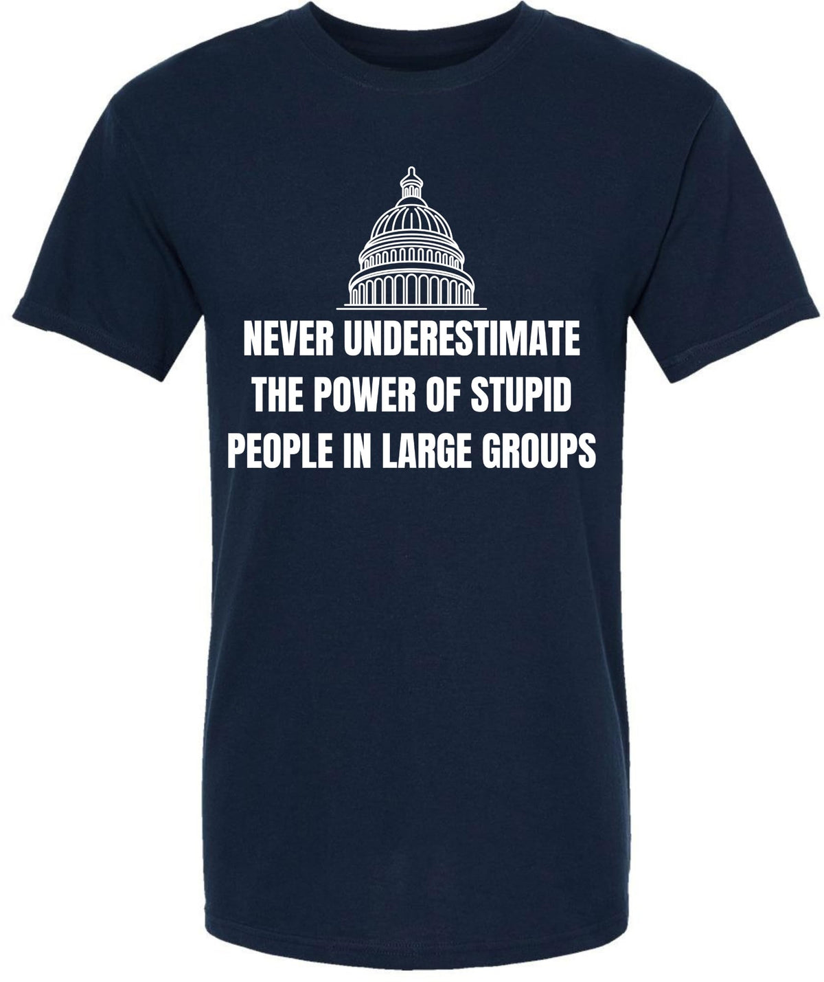 Never Underestimate The Power of Stupid People in Large Groups Printed T-Shirt | Funny Sarcastic Unisex Tee
