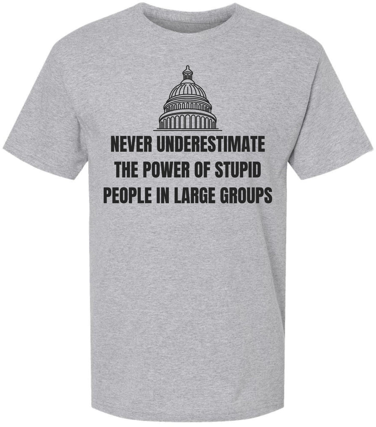 Never Underestimate The Power of Stupid People in Large Groups Printed T-Shirt | Funny Sarcastic Unisex Tee